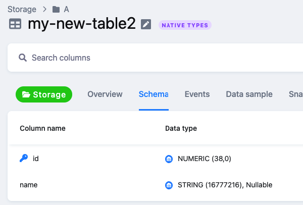 Screenshot - Table with native datatypes