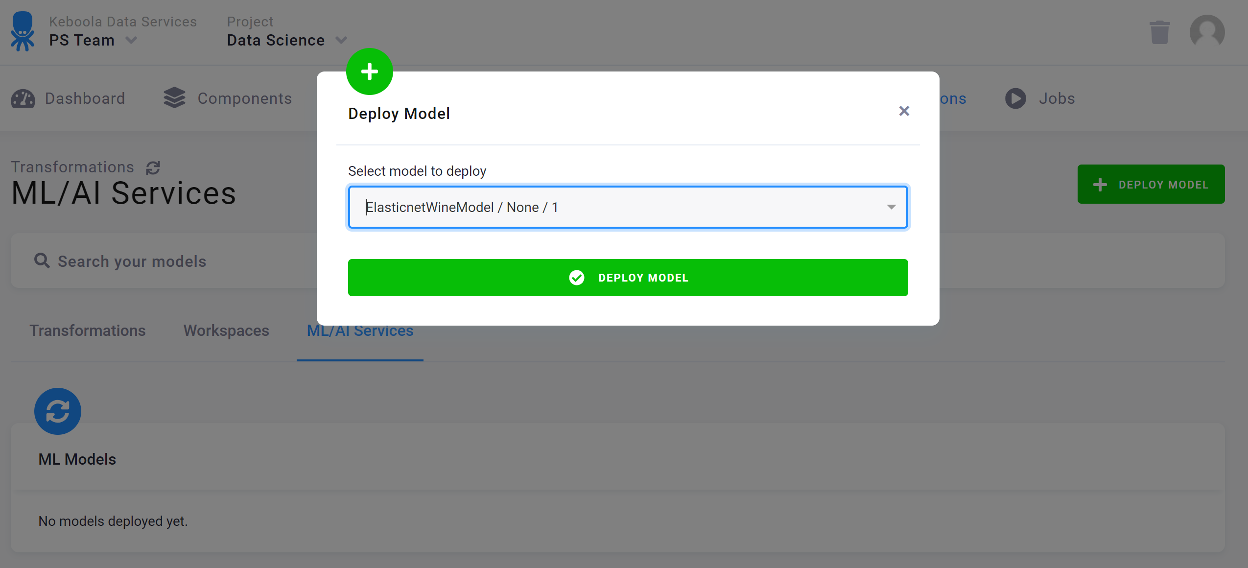 Screenshot - Deploy Model