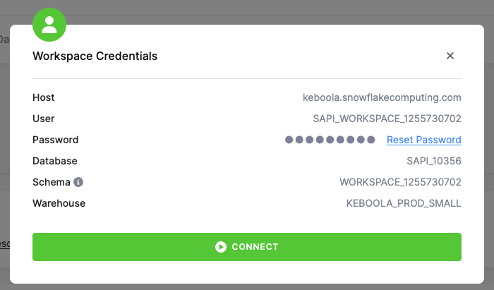 Workspace - Snowflake